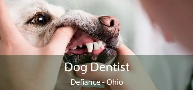 Dog Dentist Defiance - Ohio