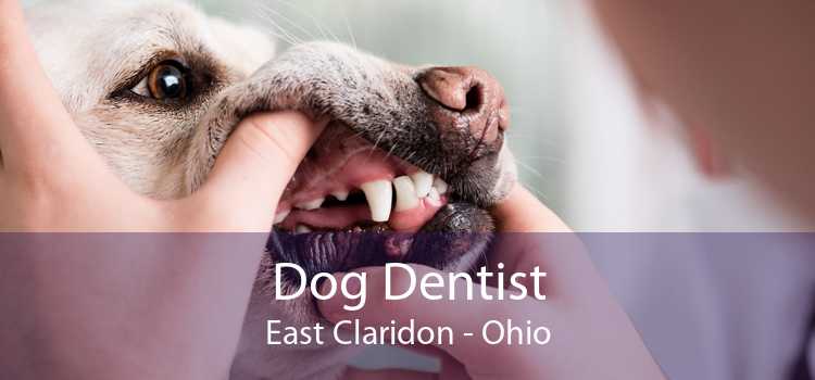 Dog Dentist East Claridon - Ohio