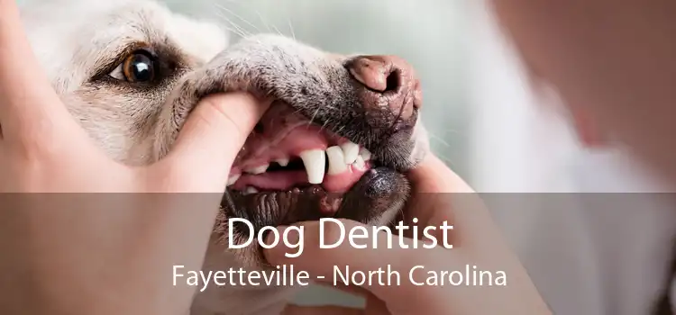 Dog Dentist Fayetteville - North Carolina