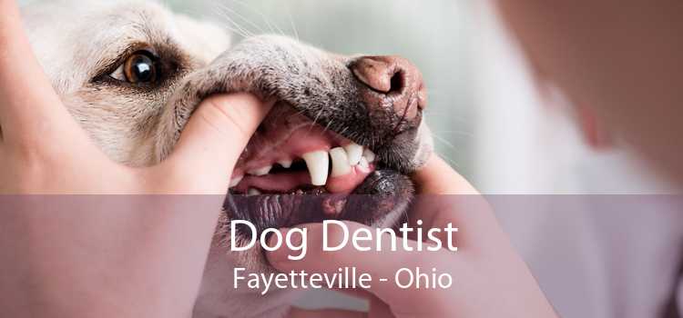Dog Dentist Fayetteville - Ohio