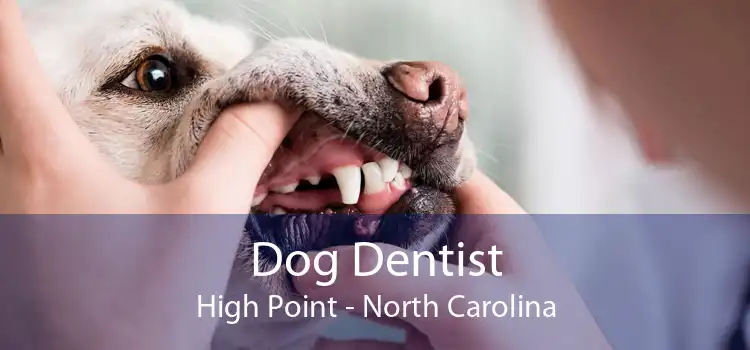 Dog Dentist High Point - North Carolina