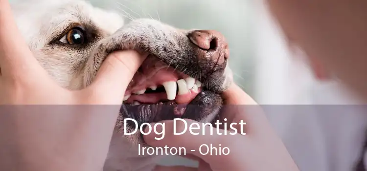 Dog Dentist Ironton - Ohio