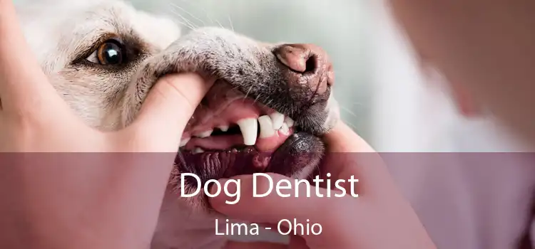 Dog Dentist Lima - Ohio