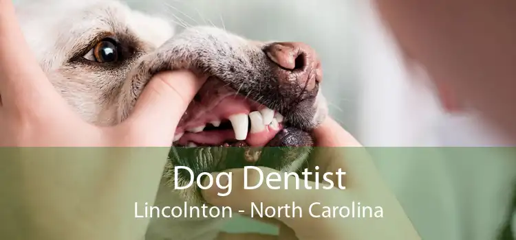 Dog Dentist Lincolnton - North Carolina