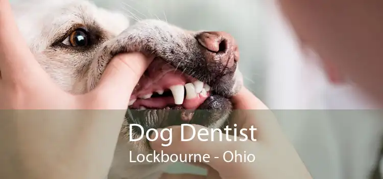 Dog Dentist Lockbourne - Ohio