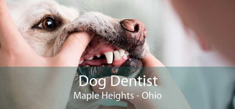 Dog Dentist Maple Heights - Ohio
