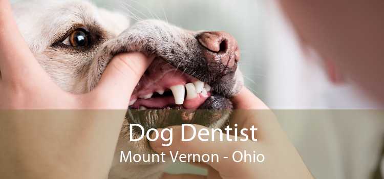 Dog Dentist Mount Vernon - Ohio