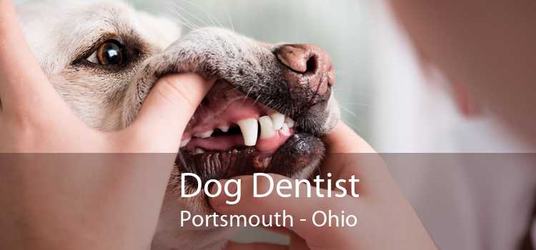 Dog Dentist Portsmouth - Ohio