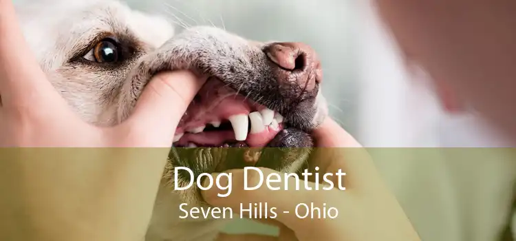 Dog Dentist Seven Hills - Ohio