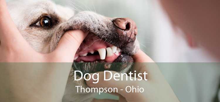 Dog Dentist Thompson - Ohio