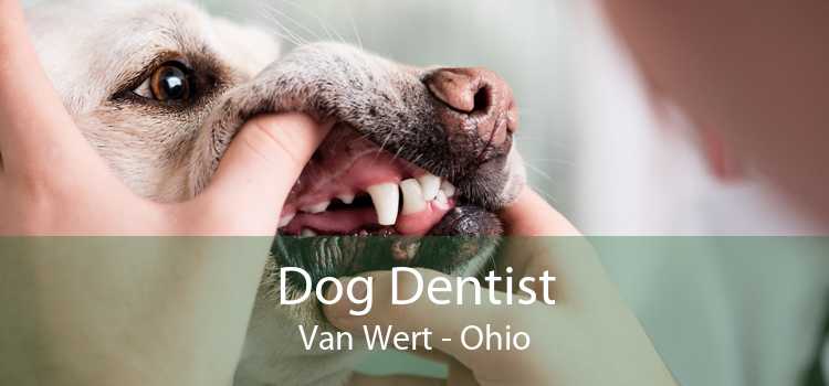 Dog Dentist Van Wert - Ohio