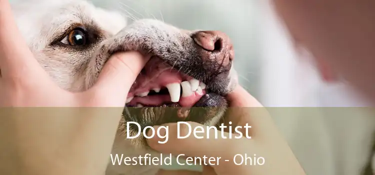 Dog Dentist Westfield Center - Ohio