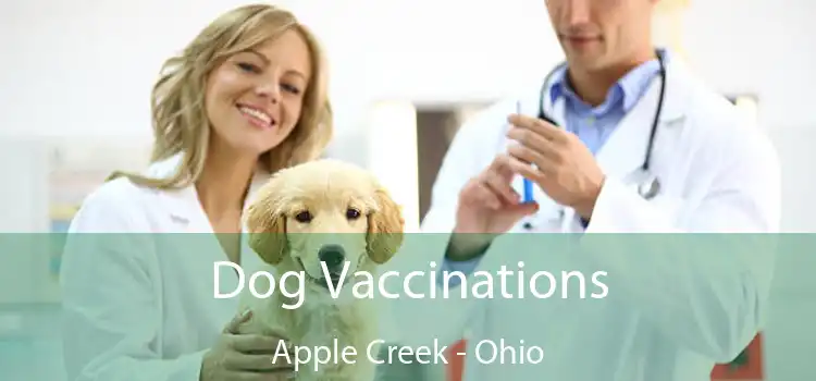Dog Vaccinations Apple Creek - Ohio