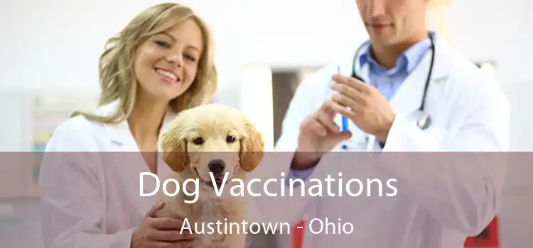 Dog Vaccinations Austintown - Ohio