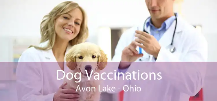 Dog Vaccinations Avon Lake - Ohio