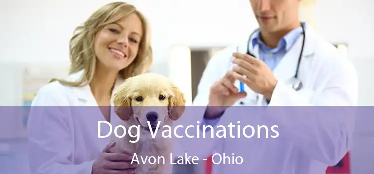 Dog Vaccinations Avon Lake - Ohio