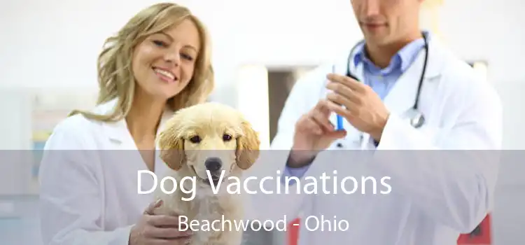 Dog Vaccinations Beachwood - Ohio