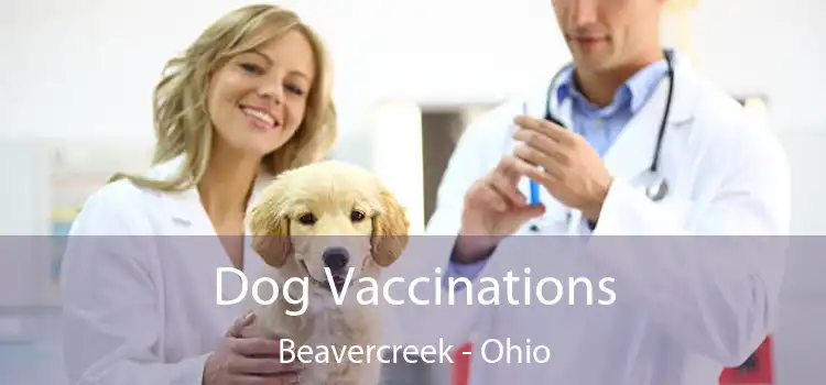 Dog Vaccinations Beavercreek - Ohio