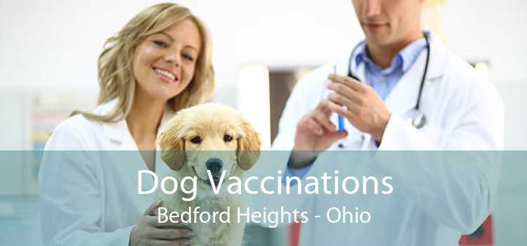 Dog Vaccinations Bedford Heights - Ohio