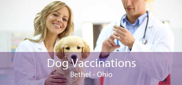 Dog Vaccinations Bethel - Ohio