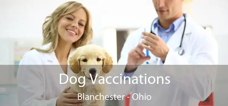 Dog Vaccinations Blanchester - Ohio