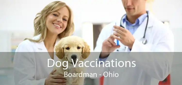 Dog Vaccinations Boardman - Ohio