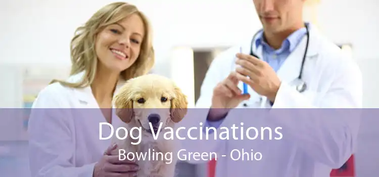 Dog Vaccinations Bowling Green - Ohio