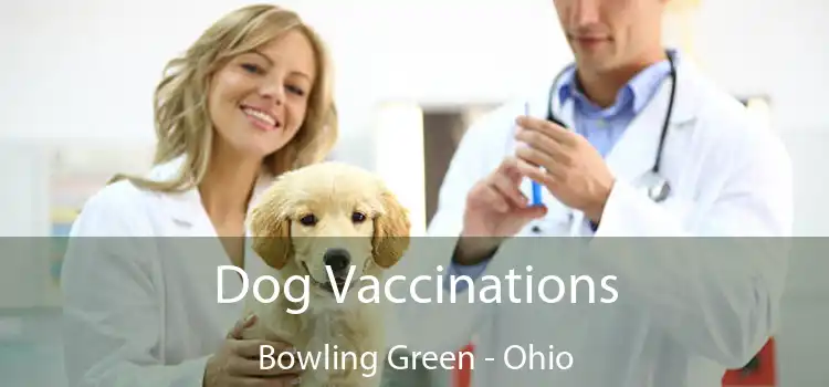 Dog Vaccinations Bowling Green - Ohio