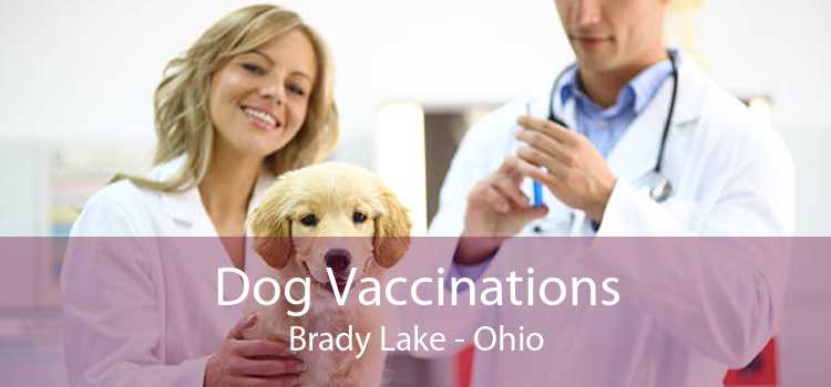 Dog Vaccinations Brady Lake - Ohio