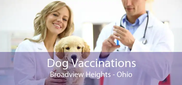 Dog Vaccinations Broadview Heights - Ohio