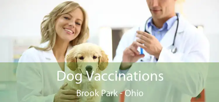 Dog Vaccinations Brook Park - Ohio
