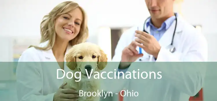 Dog Vaccinations Brooklyn - Ohio