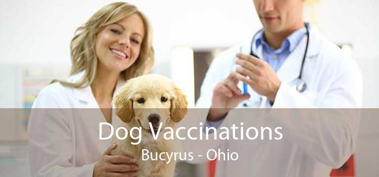 Dog Vaccinations Bucyrus - Ohio