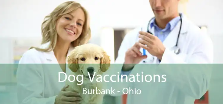 Dog Vaccinations Burbank - Ohio