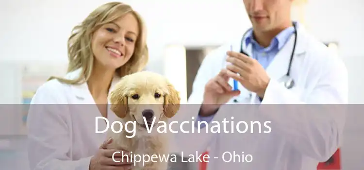 Dog Vaccinations Chippewa Lake - Ohio