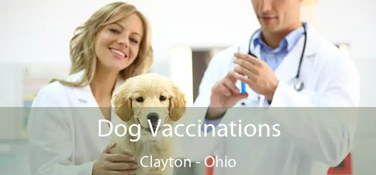 Dog Vaccinations Clayton - Ohio