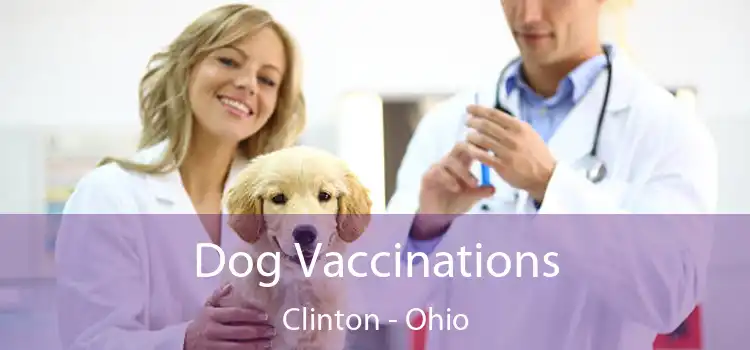 Dog Vaccinations Clinton - Ohio