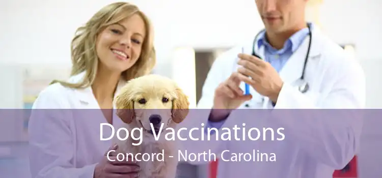 Dog Vaccinations Concord - North Carolina