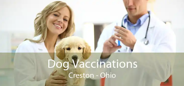 Dog Vaccinations Creston - Ohio