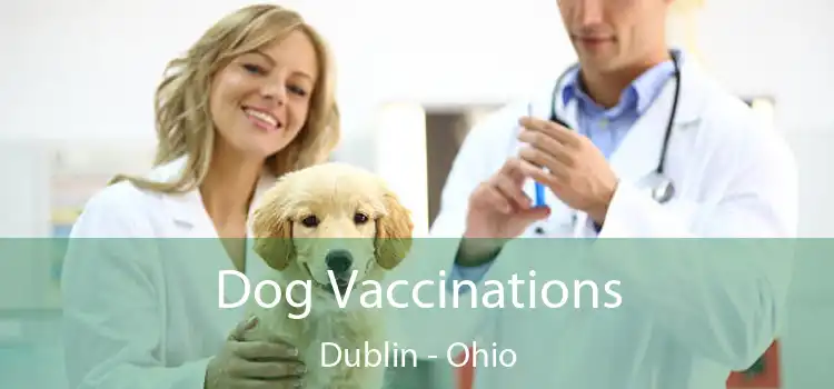 Dog Vaccinations Dublin - Ohio