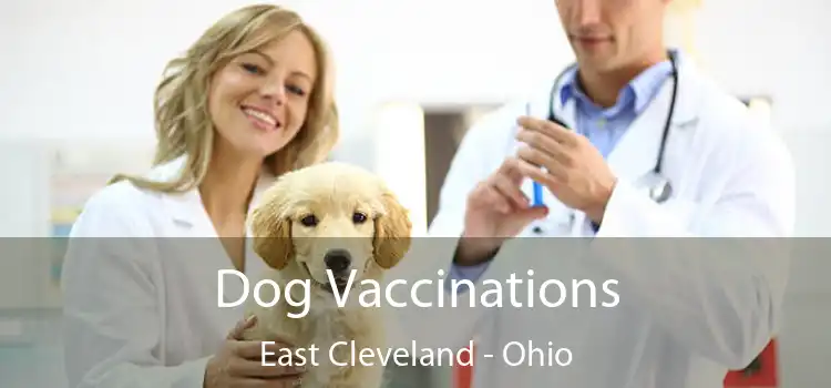 Dog Vaccinations East Cleveland - Ohio