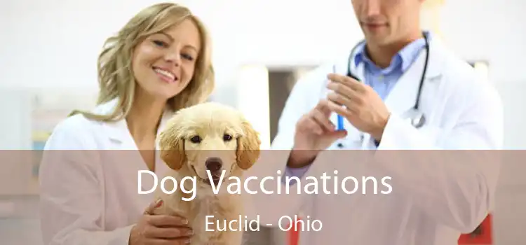 Dog Vaccinations Euclid - Ohio