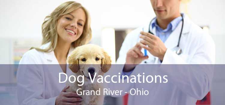 Dog Vaccinations Grand River - Ohio