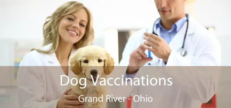 Dog Vaccinations Grand River - Ohio