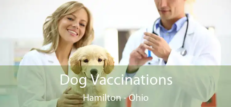 Dog Vaccinations Hamilton - Ohio