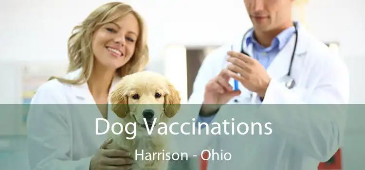 Dog Vaccinations Harrison - Ohio