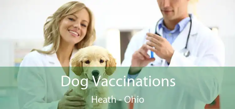 Dog Vaccinations Heath - Ohio