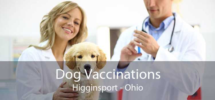 Dog Vaccinations Higginsport - Ohio