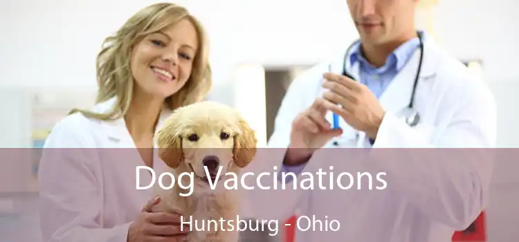 Dog Vaccinations Huntsburg - Ohio