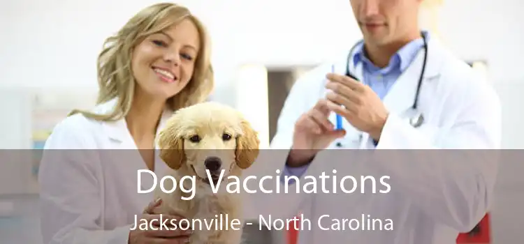 Dog Vaccinations Jacksonville - North Carolina